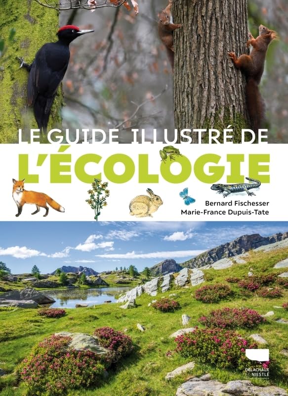 Couverture du livre Journal de guerre écologique
